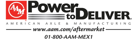 AMERICAN AXLE, POWER TO DELIVER